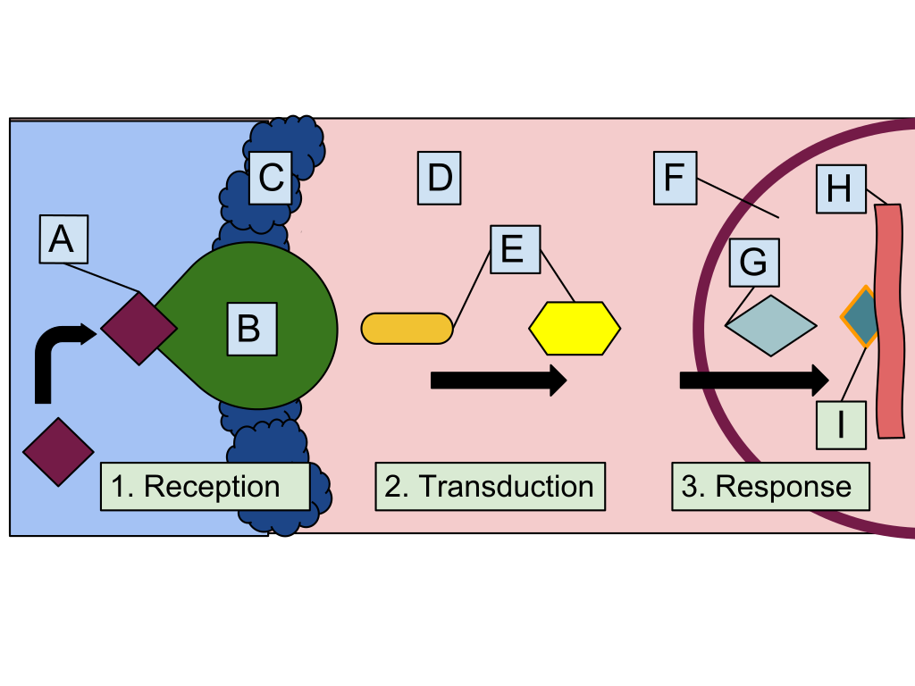 pdf characterisation of a personal learning environment as a lifelong learning