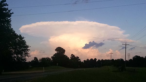 A thunderstorm in an environment with no winds to shear the storm or blow the anvil in any one direction