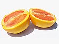 el pomelo / die Grapefruit