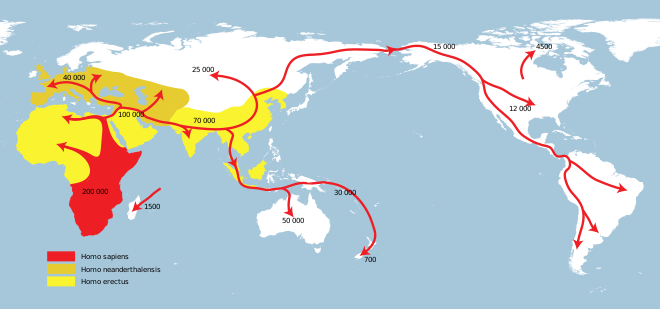 Map of early human migrations based on the Out of Africa theory. Spreading homo sapiens la.svg