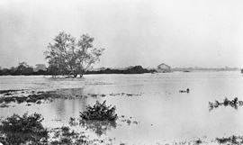 StateLibQld 1 164135 Inondazione del fiume Flinders a Hughenden, gennaio 1917.jpg