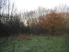 Stokes Field, Long Ditton (coğrafya 4256705) .jpg