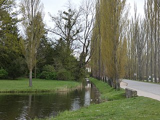 Straßenbrücke an der Rousseau-Insel.jpg