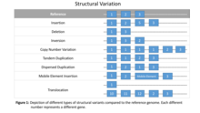 Structural Variation Structural Variation.png