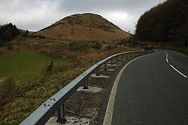 Shakar noni - geograph.org.uk - 1219917.jpg