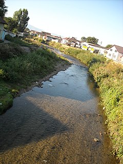 Orăștie River river in Romania