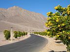 Taba Heights R06.jpg