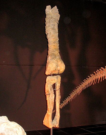 Tastavinsaurus