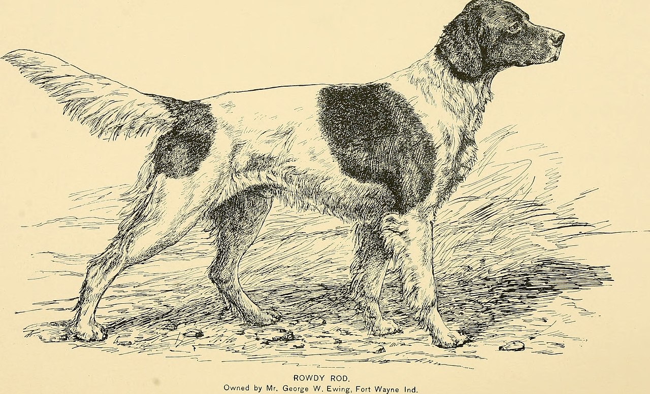 utility dog breeds