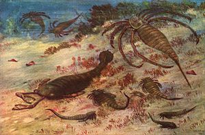 Extinciones masivas del Ordovícico-Silúrico - Wikipedia, la ...