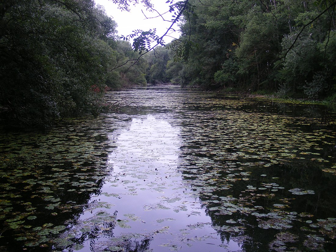 Petit Danube