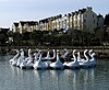 Swan pedalos at Pickie park