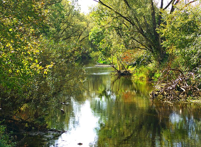 File:The River - panoramio (4).jpg