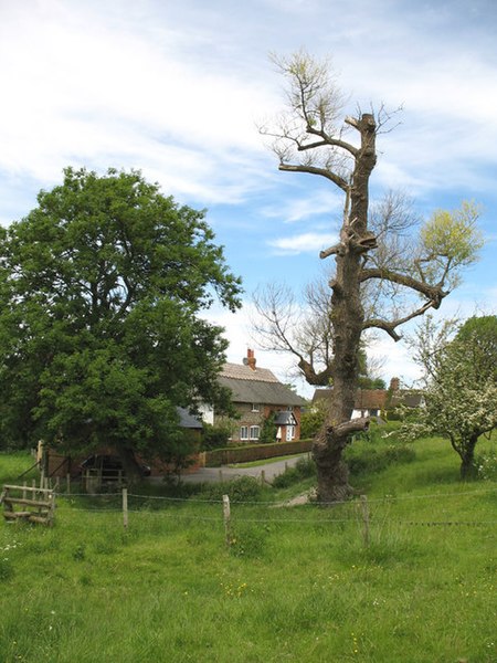 File:The Springs Farm - geograph.org.uk - 181353.jpg