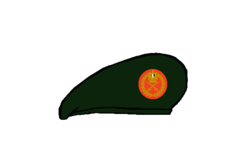 Thunderbolt General Beret - Egyptian Army.png