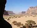 Vignette pour Forêts claires xérophiles d'altitude du Tibesti et du Jebel Uweinat