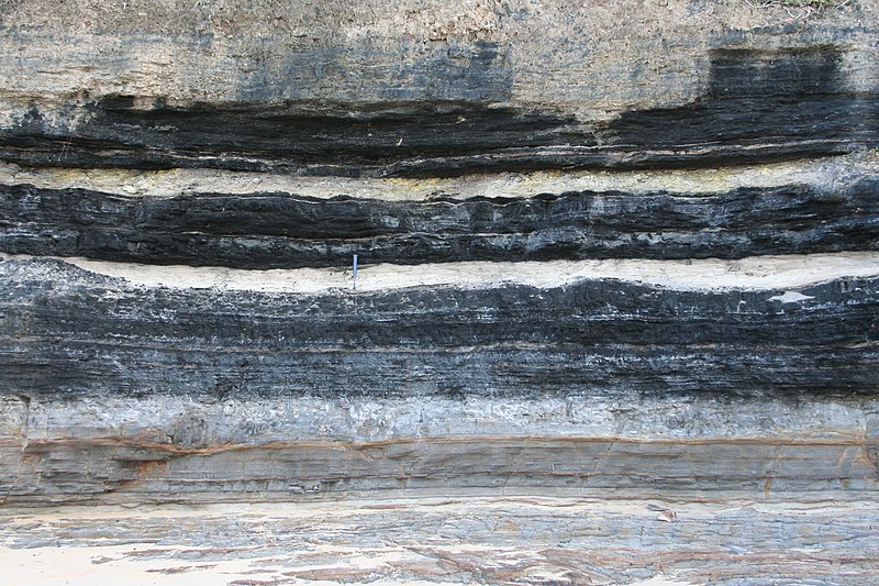 File:Tongarra Coal ashbeds.JPG