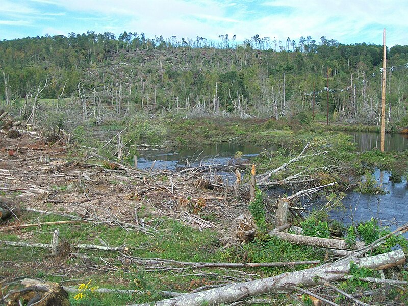 File:Tornado Damage at Sturbridge.JPG