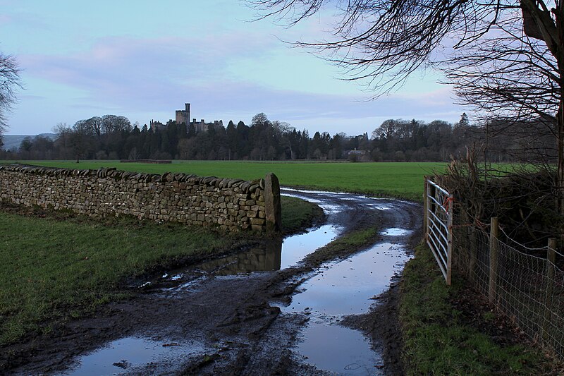 File:Track leading to Hornby - geograph.org.uk - 4308264.jpg