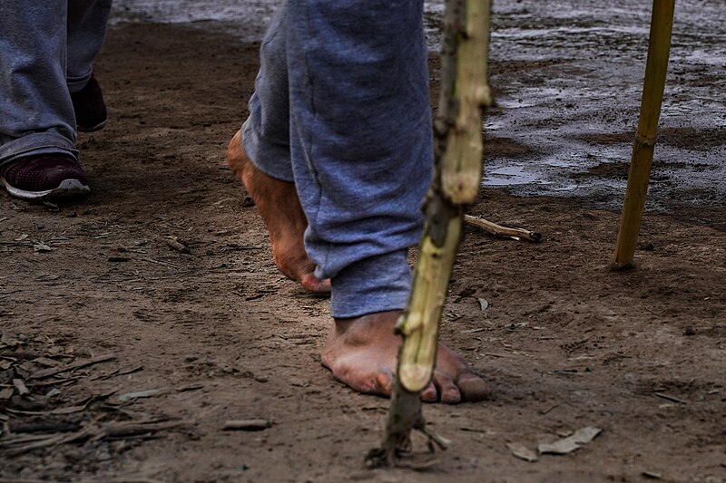 File:Tradicion.- "Sacrificio de Fe". caminando descalzo por ti Virgencita, Tradiciones Mexicanas.jpg