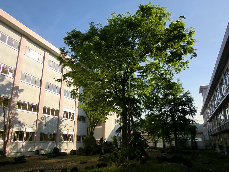 File:Tsunan secondary school5.JPG