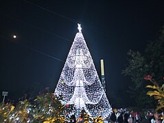 File:Twinkling Christmas Tree.jpg