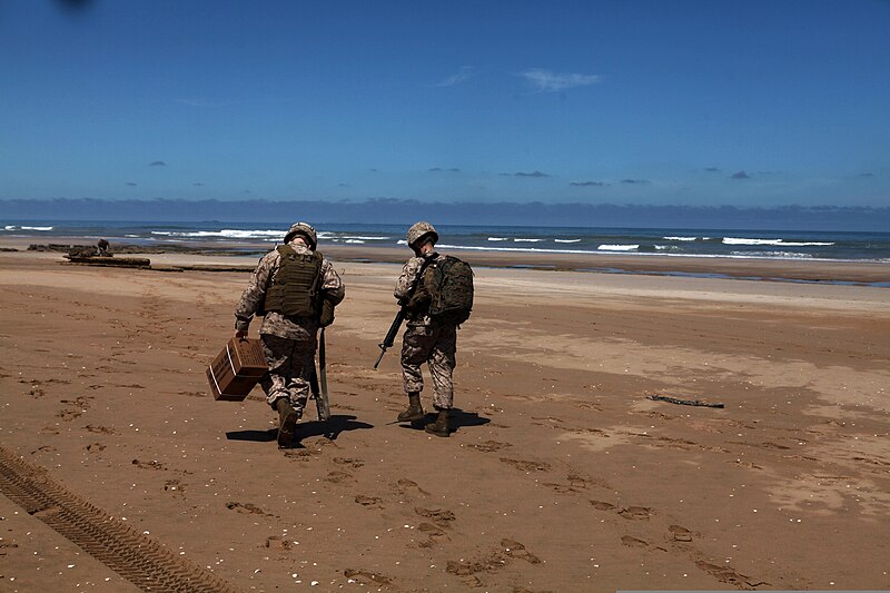 File:U.S. Marines with the 24th Marine Expeditionary Unit (MEU) carry supplies after a beach landing in Morocco April 9, 2012, during African Lion 2012 120409-M-RU378-457.jpg