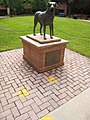 Statue of True Grit in Administration Plaza