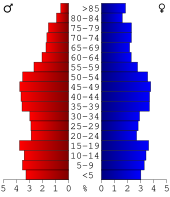 Bevolkingspiramide Des Moines County