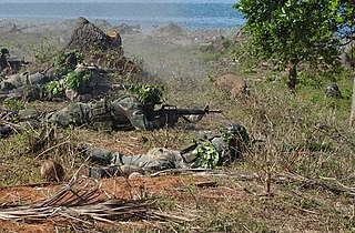 <span class="mw-page-title-main">Operation Enduring Freedom – Philippines</span> Military operation