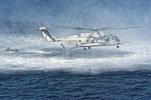 US Navy 120119-N-DX615-085 Marines assigned to the 11th Marine Expeditionary Unit (11th MEU) conduct insertion exercises from a CH-53E Super Stalli.jpg