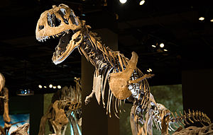 Majungasaurus: Boynuzlu teropod