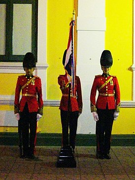 Unit colours of the Cadet Regiment, King's Guard.jpg