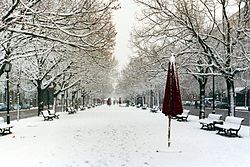 Unter den Linden im Winter.jpg