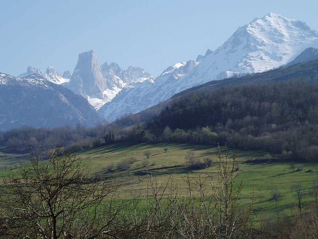 Comarca d'Oriente