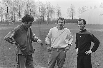 Ernst Happel: Carrière als voetballer, Nationale ploeg, Carrière als trainer