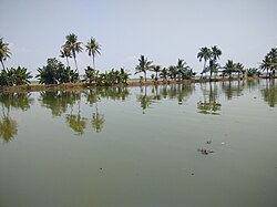 Varchikudy kolam