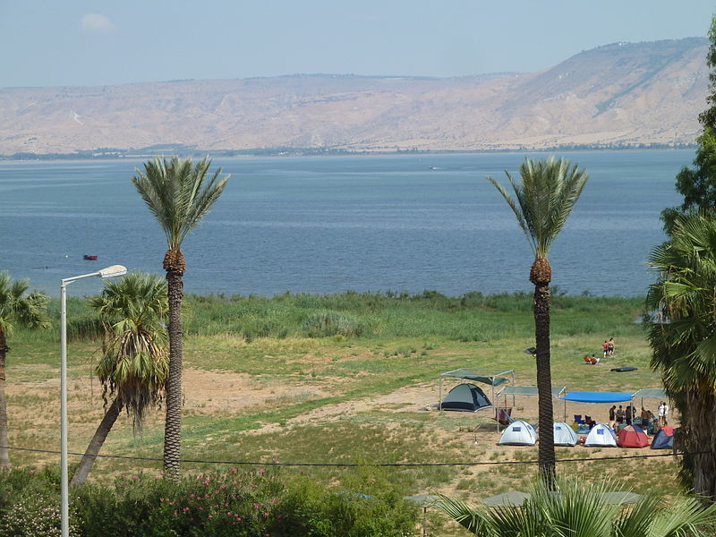 File:View from Kinneret Farm P1180675.JPG