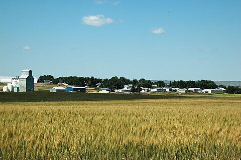 Milo, Alberta