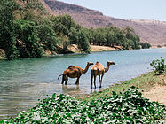 Wadi Darbat.