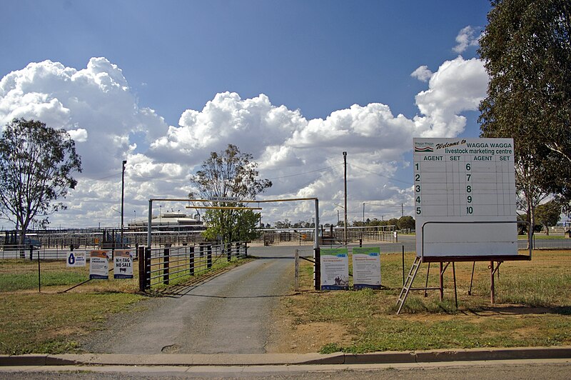 File:Wagga Wagga Livestock Marking Centre.jpg