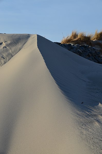 File:Wangerooge Düne März-2017 DSC 1376.JPG