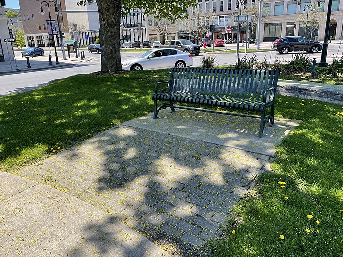 A bench in the Public Square