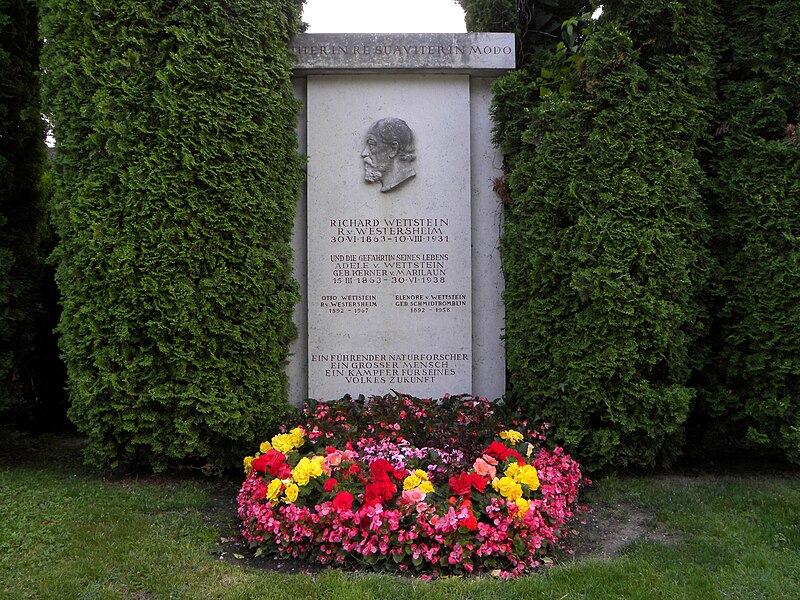 File:Wiener Zentralfriedhof - Gruppe 14 C - Richard Wettstein.jpg