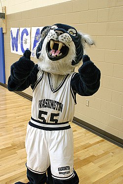 WCA Wildcat Wildcat Mascot of Washington Christian Academy (20090123-068613).jpg