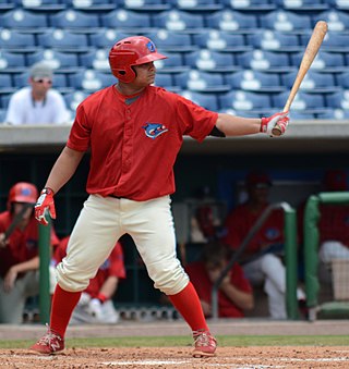 <span class="mw-page-title-main">Willians Astudillo</span> Venezuelan baseball player