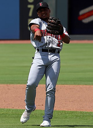 <span class="mw-page-title-main">Wilmer Difo</span> Dominican baseball player (born 1992)