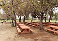 Woodley park picnic area.jpg