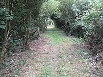 Station site in 2010. Yeoveney Halt railway station.jpg