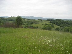 Landschap in het natuurpark Žumberak